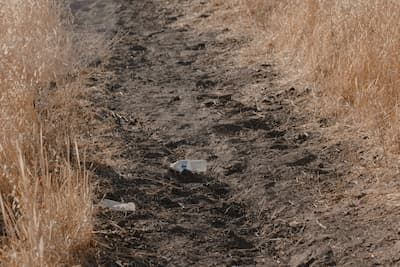 Rubbish in the dirt
