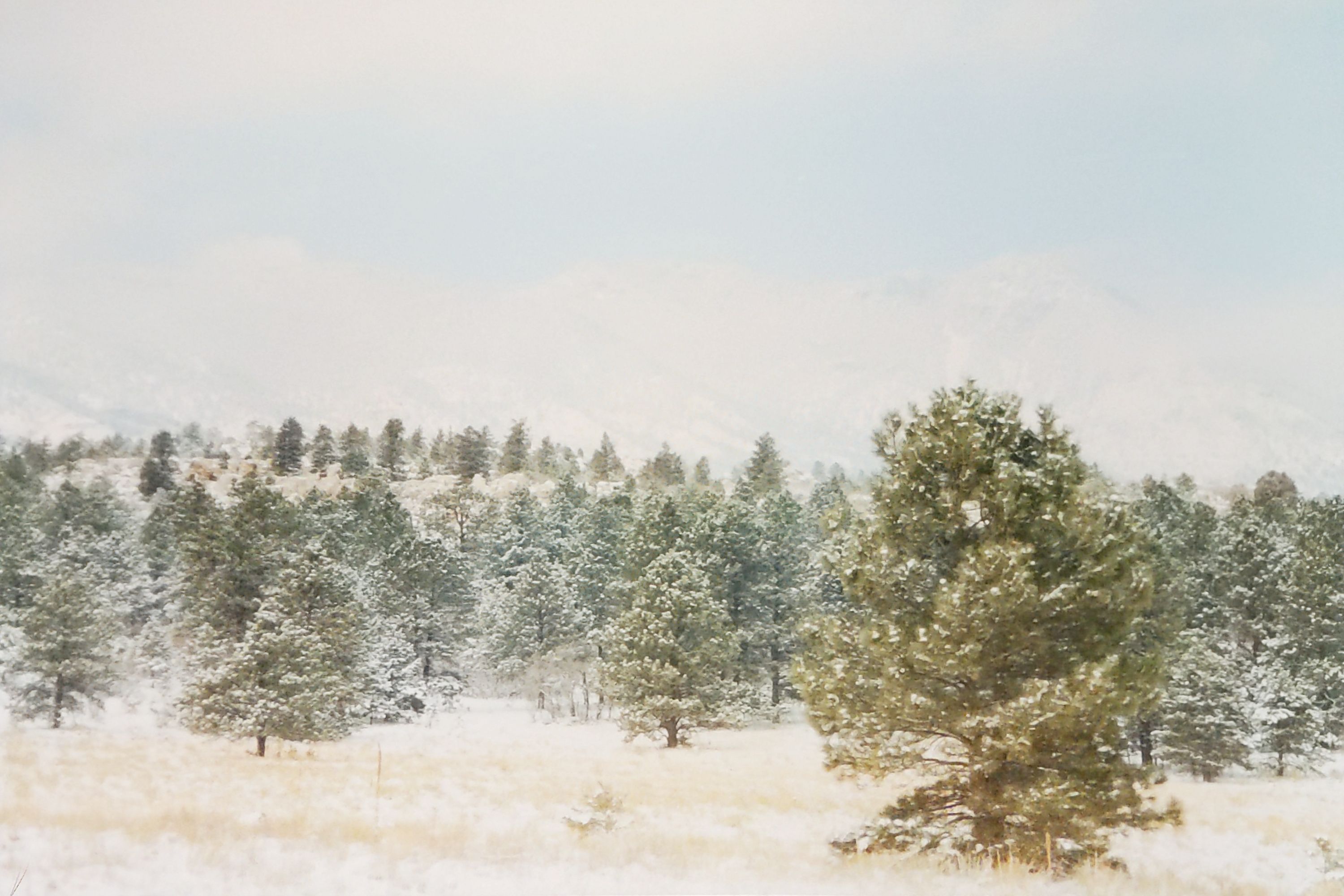 Historic Ute Valley Park photo 1