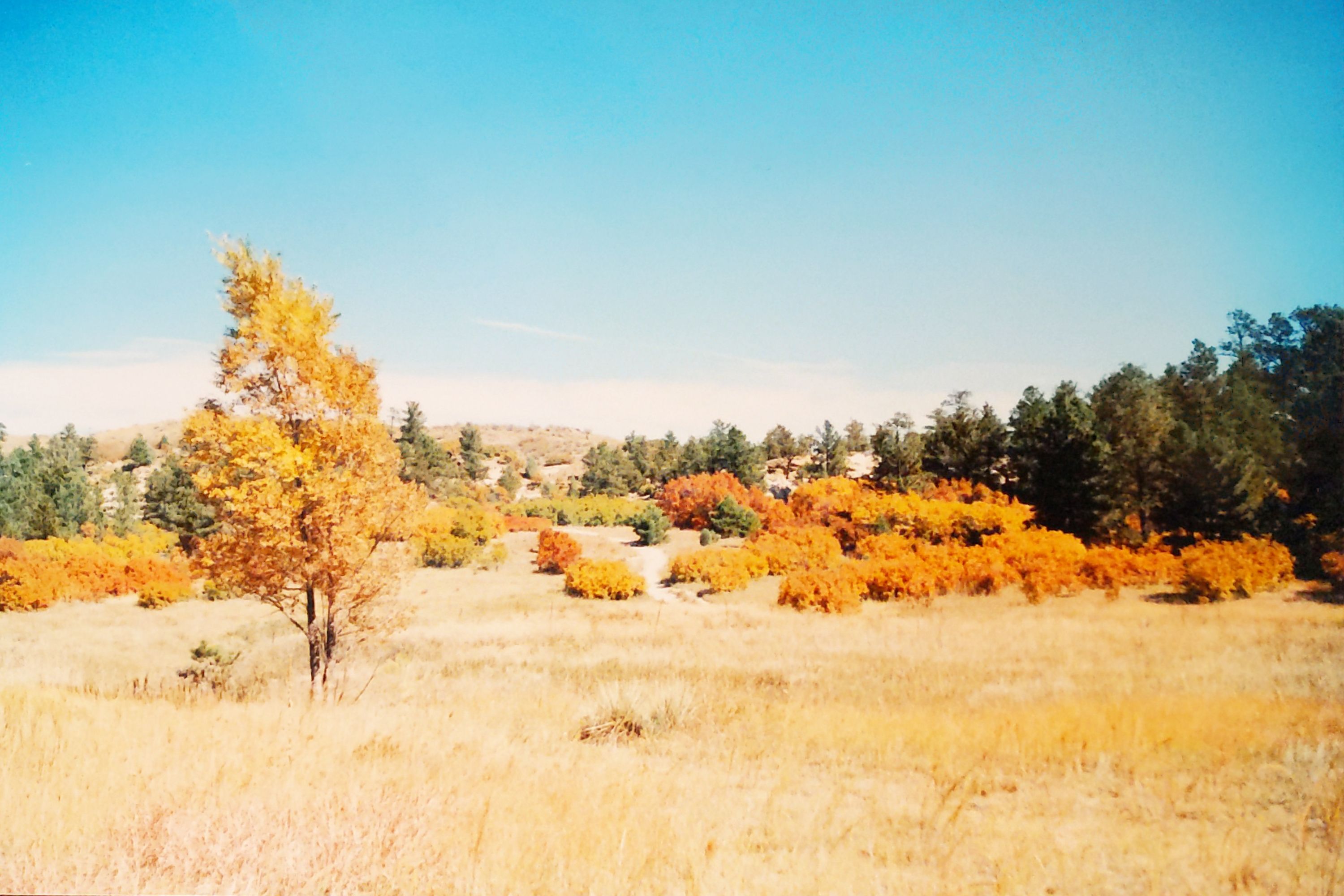 Historic Ute Valley Park photo 10