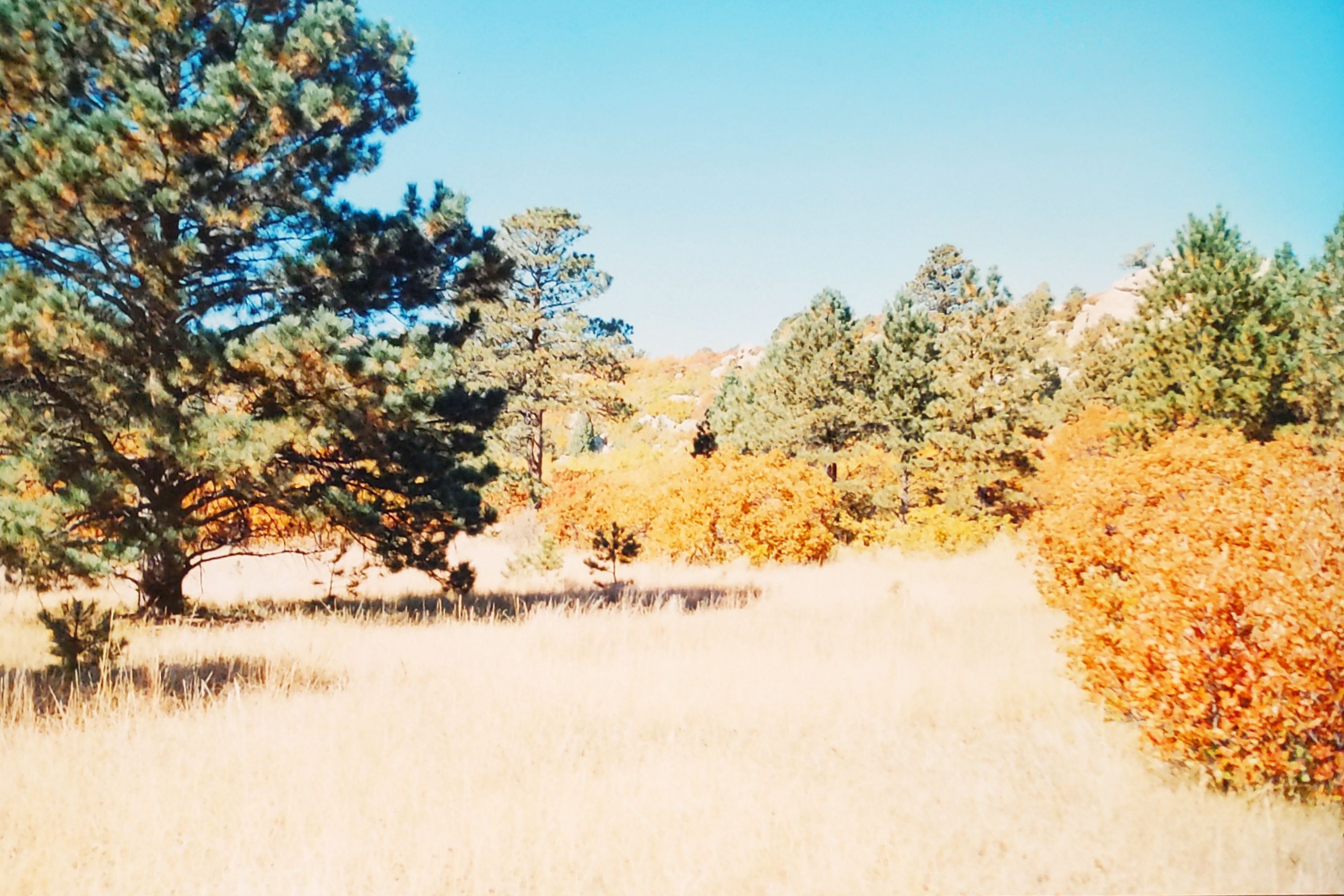 Historic Ute Valley Park photo 11