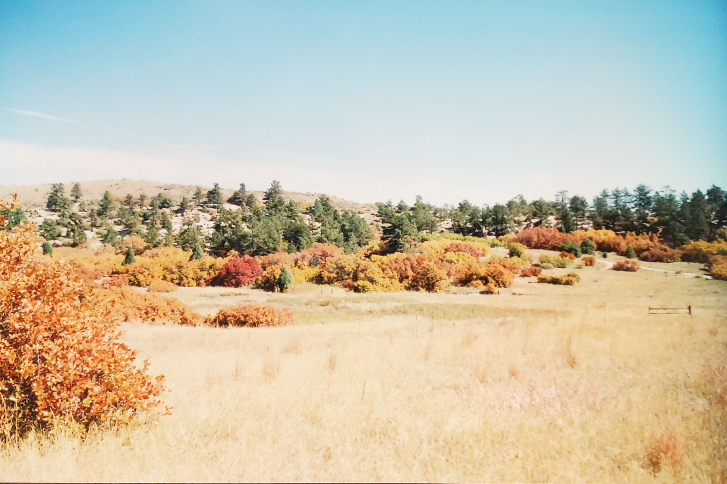 Historic Ute Valley Park photo 13