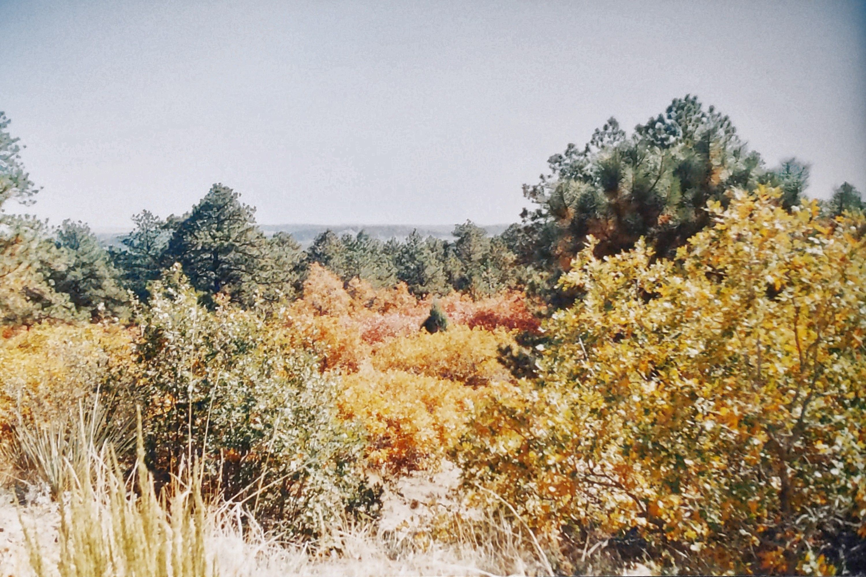 Historic Ute Valley Park photo 15