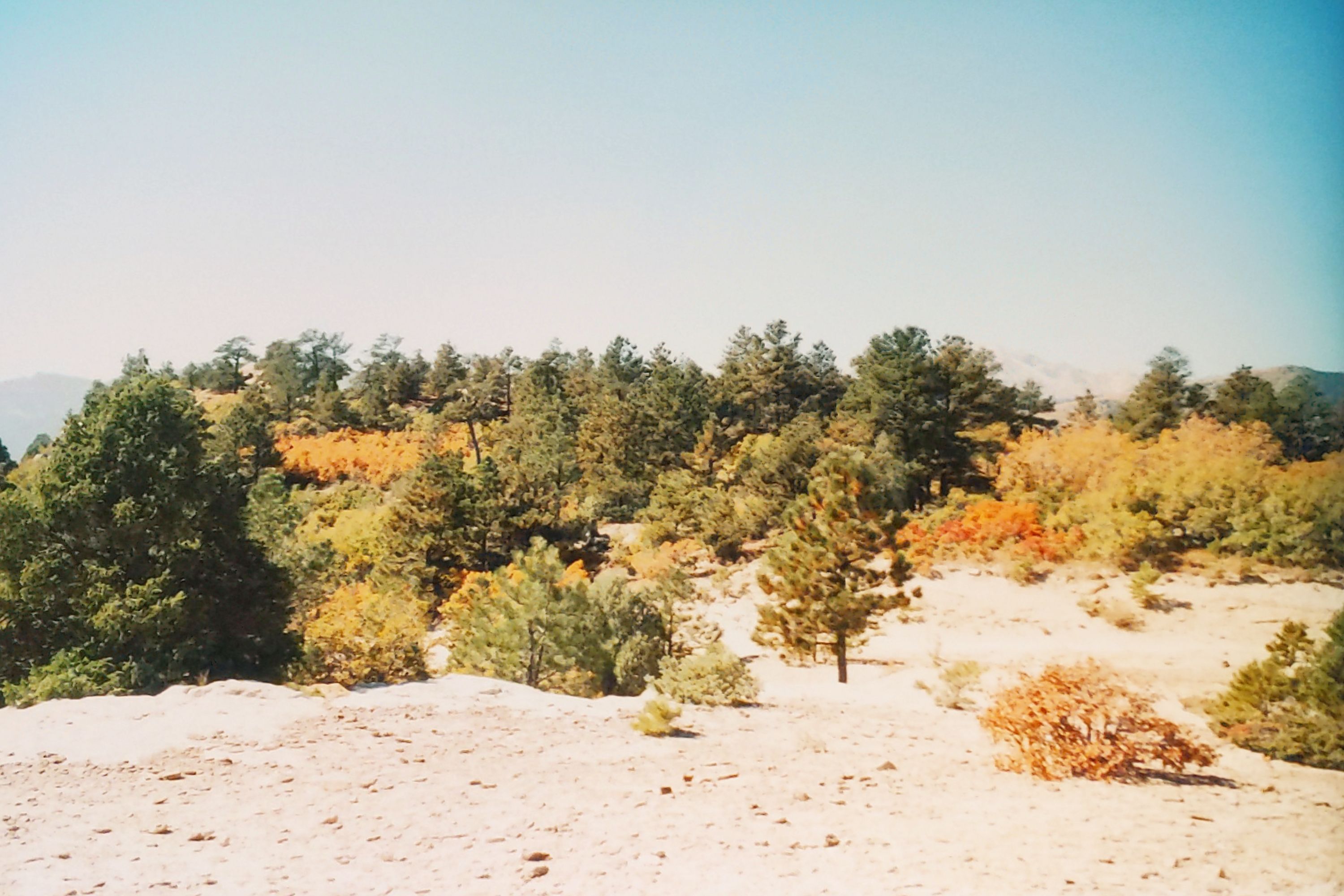 Historic Ute Valley Park photo 16