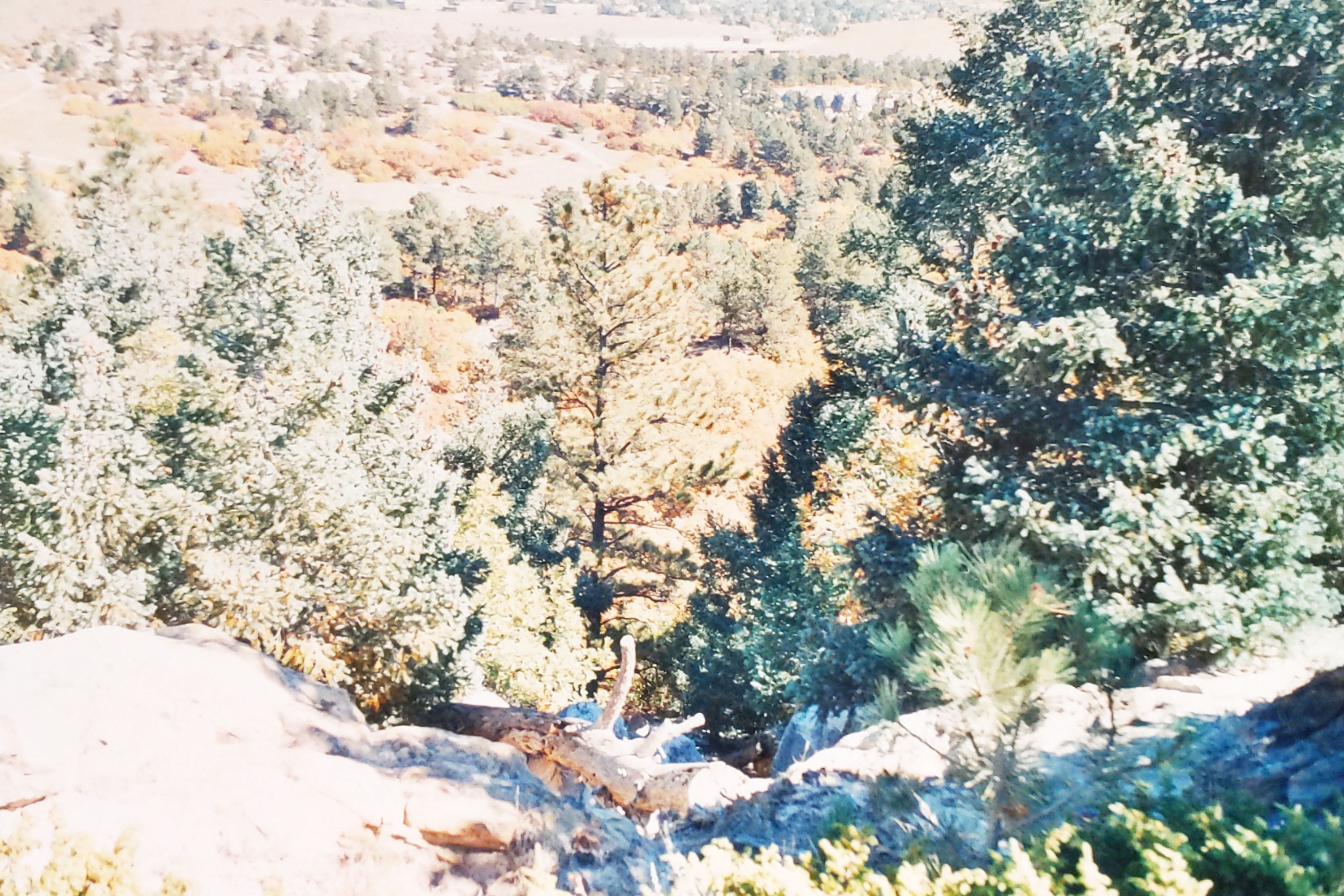 Historic Ute Valley Park photo 19