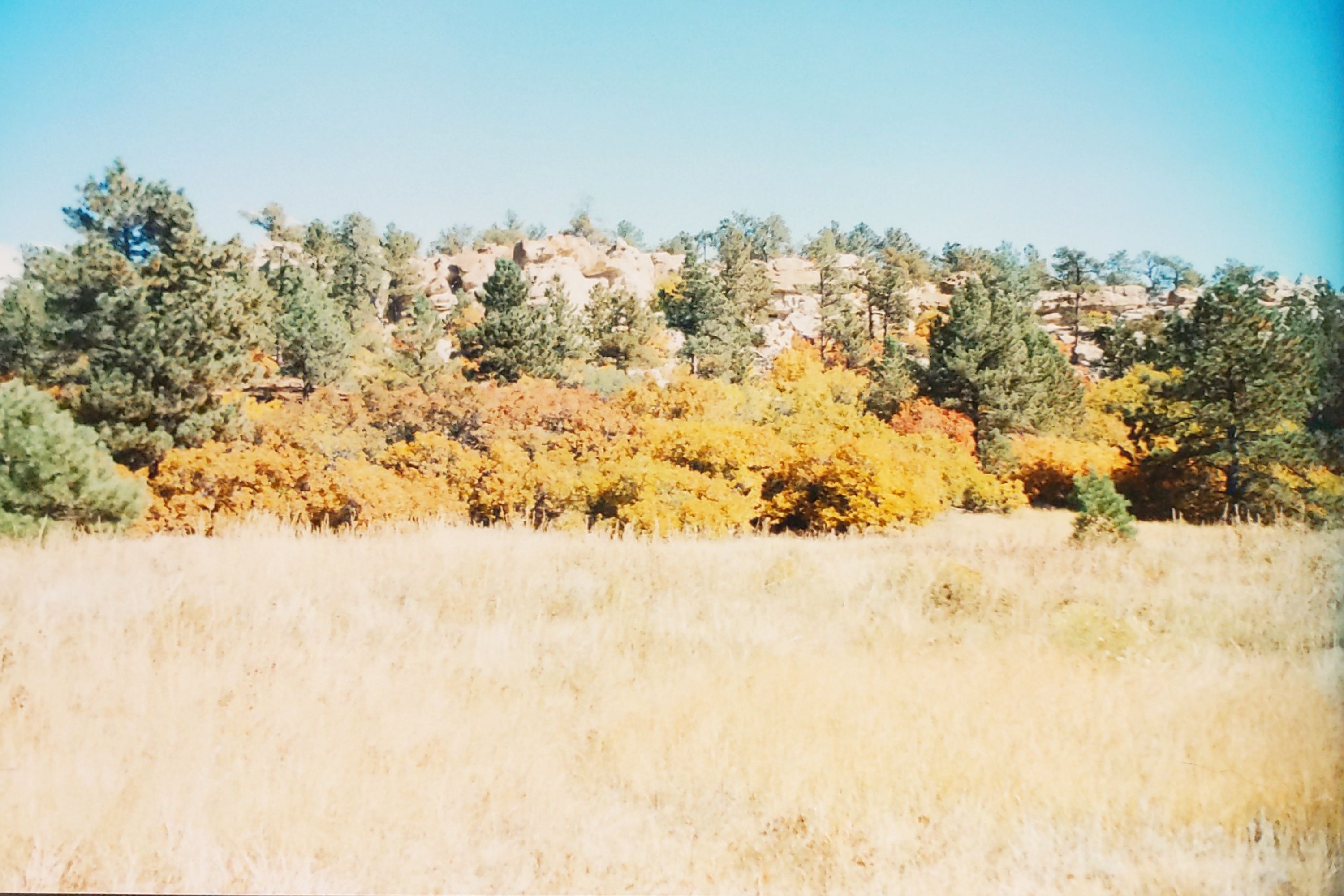 Historic Ute Valley Park photo 20
