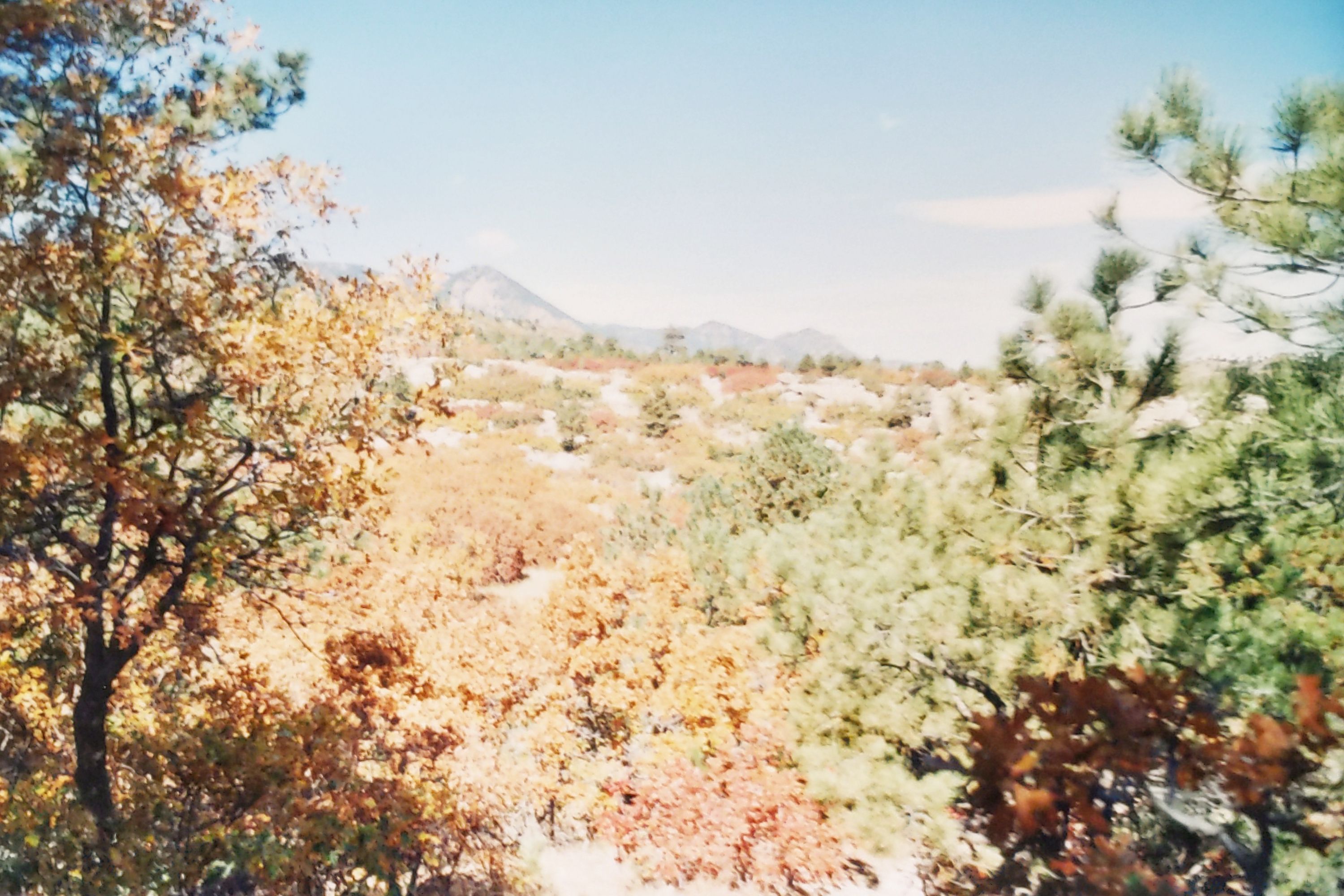 Historic Ute Valley Park photo 6