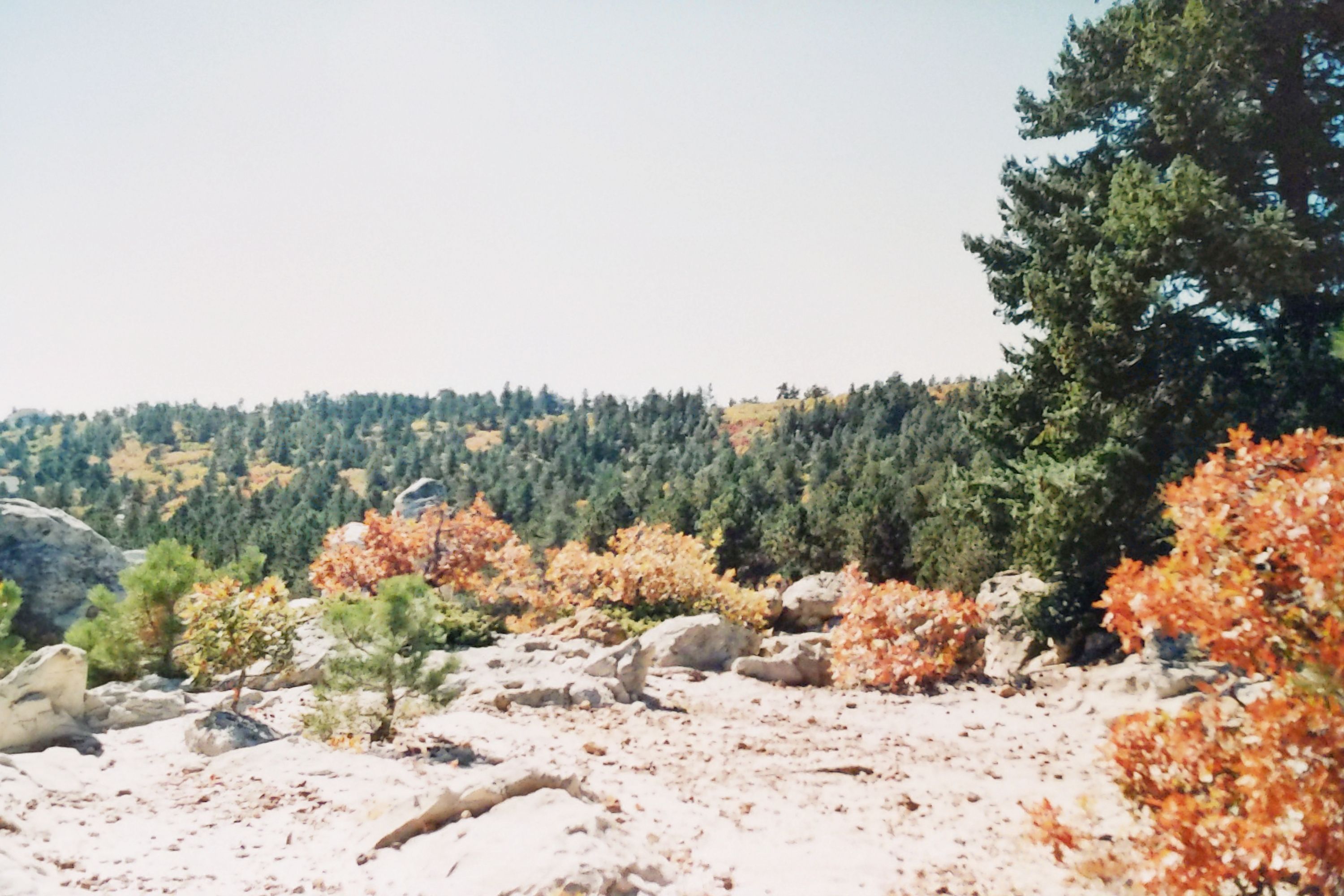 Historic Ute Valley Park photo 7