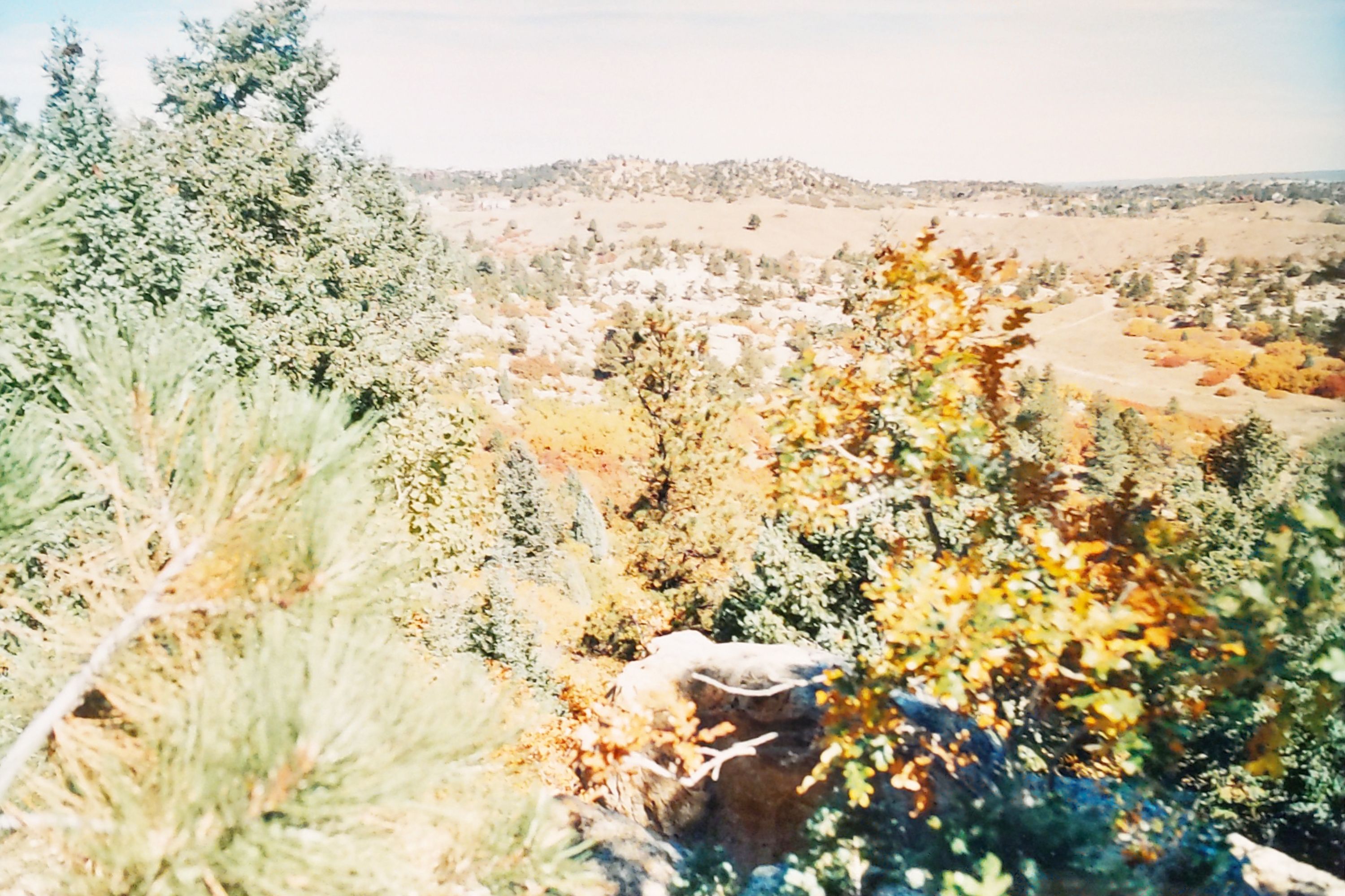 Historic Ute Valley Park photo 8