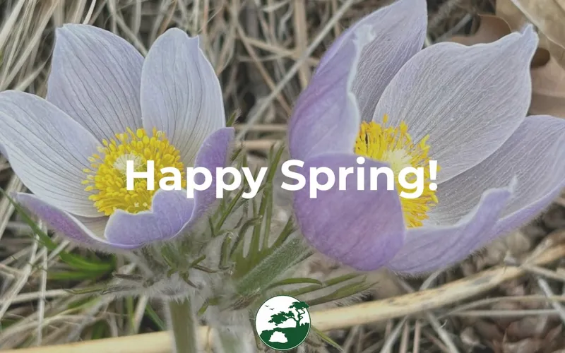 Spring arrives with new growth and new FUVP leadership