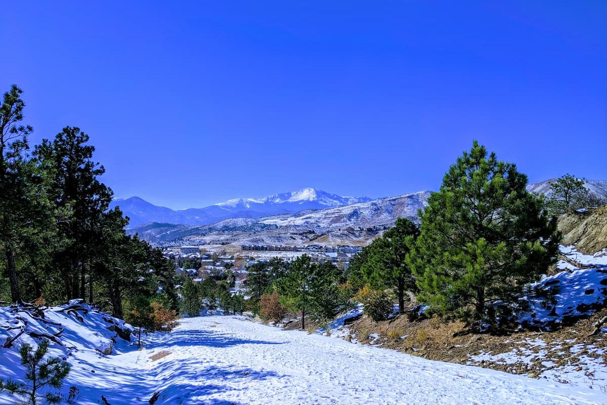 2022 Volunteer Update cover image