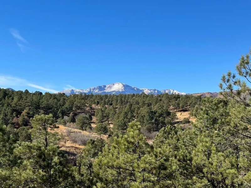 Friends of Ute Valley Park Year End Review