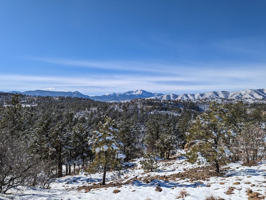 Upcoming Volunteer events in Ute Valley Park and Vote Yes on TOPS Renewal! cover image