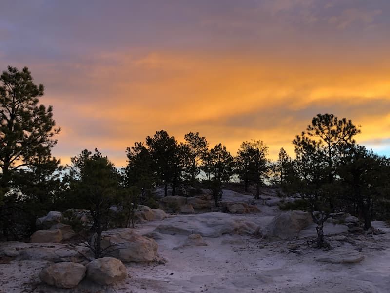Changes afoot at Ute Valley Park cover image