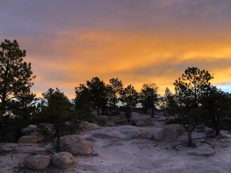 Changes afoot at Ute Valley Park