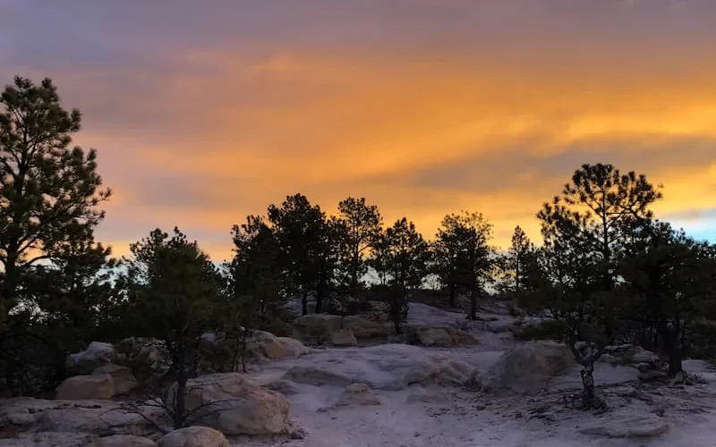 Changes afoot at Ute Valley Park