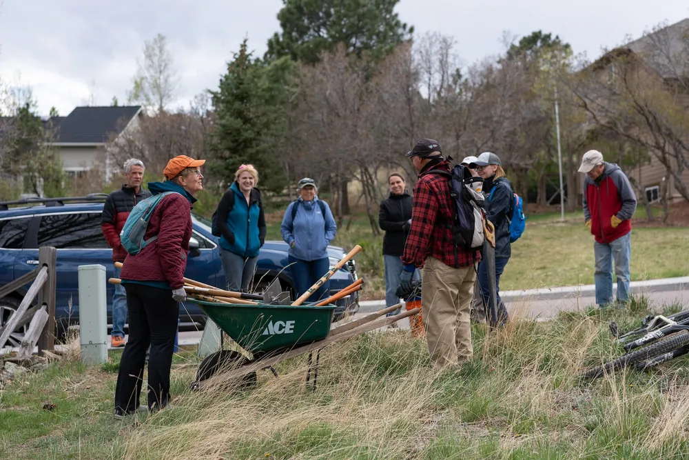 Volunteers in action